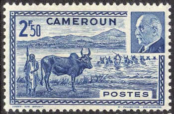 pétain cameroun