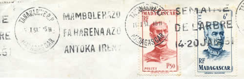 flamme semaine arbre 51