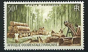 Route à travers la Foret