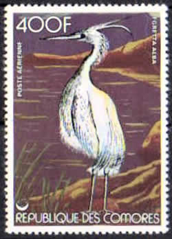 légende République des Comores