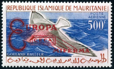 MIFERMA non encadré