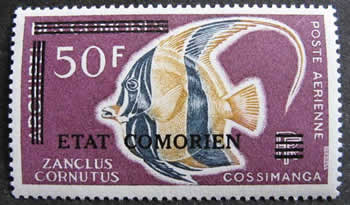 poisson zanclus
