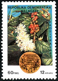 Office Africain et malgache du Café