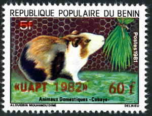 7ème anniversaire (Bénin)