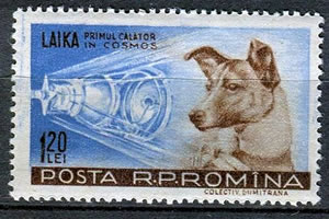 Laika Roumanie