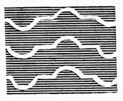 filigrane Corée du Sud