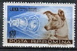 Chienne laika Sputnik 2