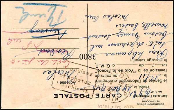 Pseudo dauin Produisez et achetez indochinois Hanoi RP